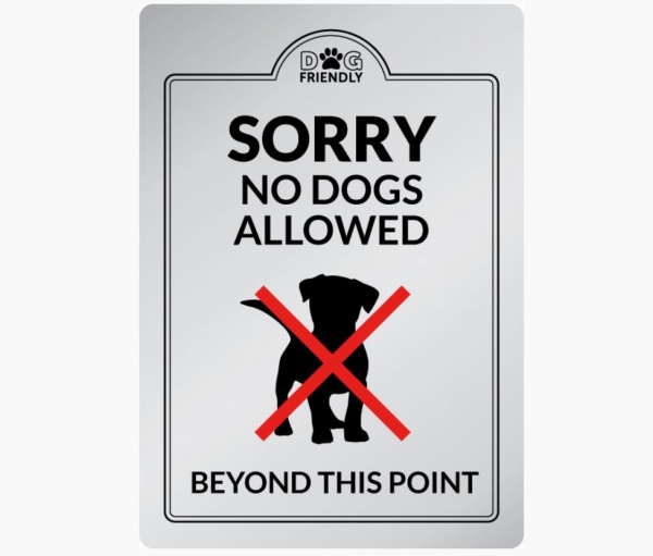 Sorry No Dogs Allowed Beyond this Point Sign - Gold